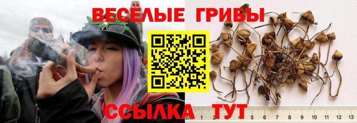 Наро-Фоминск  Галлюциногенные грибы мухоморы  Псилоцибиновые грибы мицелий  Вход с VPN 
